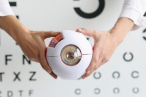 Saúde ocular: médico segurando um protótipo do globo ocular.