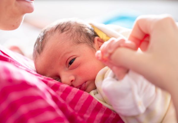 Bebê recém-nascido deitado no peito de sua mãe a qual segura sua pequena mãozinha. 