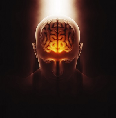 Imagem produzida em AI da cabeça humana com o cérebro destacado.