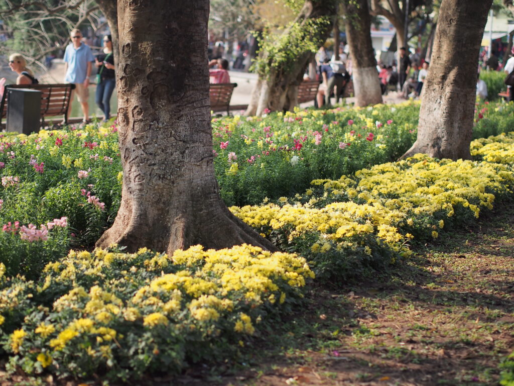 Pessoas caminhando por uma rua muito arborizada e cheia de flores.